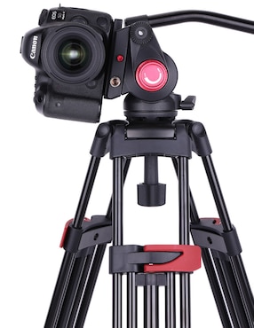 Tripie Ground Profesional
