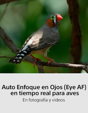 Cámara sin espejo Sony modelo ILCE-7M4K//BQE38 con lente zoom f / 3.5