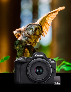 Kit cámara sin espejo y accesorios Canon modelo 5811C112AA con lente zoom f / 6.3