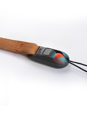Correa Pgytech