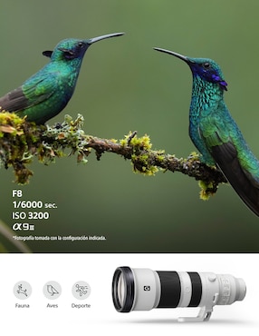 Lente zoom telefoto Sony modelo sel400800g 105 mm f / 8 para cámara sony