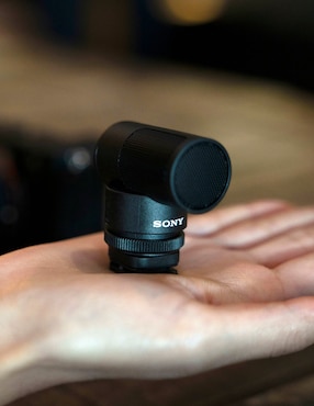 Micrófono portátil inalámbrico Sony ECM-G1