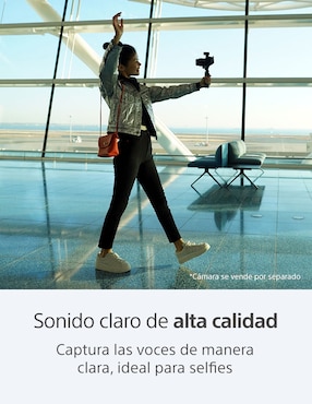 Micrófono portátil inalámbrico Sony ECM-G1
