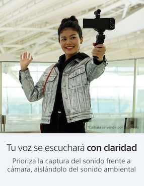 Micrófono portátil inalámbrico Sony ECM-G1