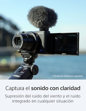 Micrófono portátil inalámbrico Sony ECM-G1