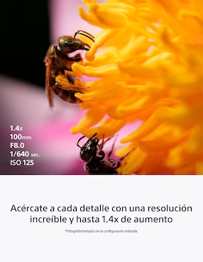 Lente gran angular Sony modelo SEL100M28GM 67 mm f / 2.8 para cámara Sony