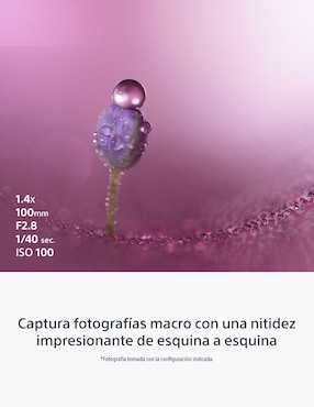 Lente gran angular Sony modelo SEL100M28GM 67 mm f / 2.8 para cámara Sony