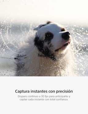 Cámara sin espejo Sony modelo Alpha 7 V