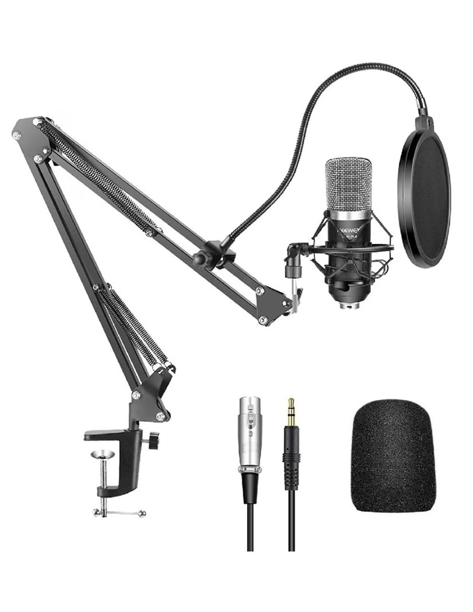 Micrófono semi profesional Inalámbrico nw-700