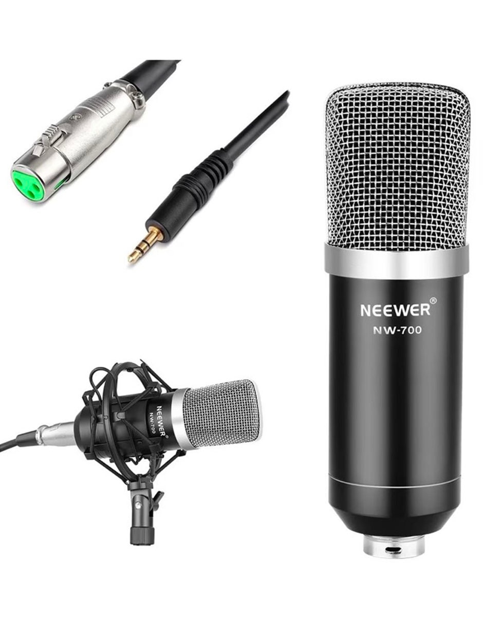 Micrófono semi profesional Inalámbrico nw-700 2