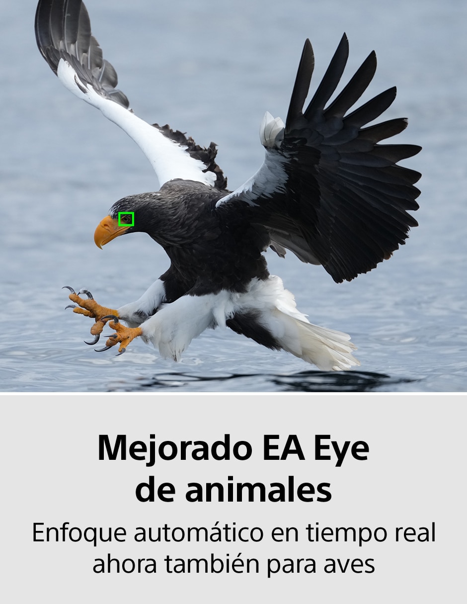 Cuerpo Cámara Sin Espejo Modelo Alpha 1 7