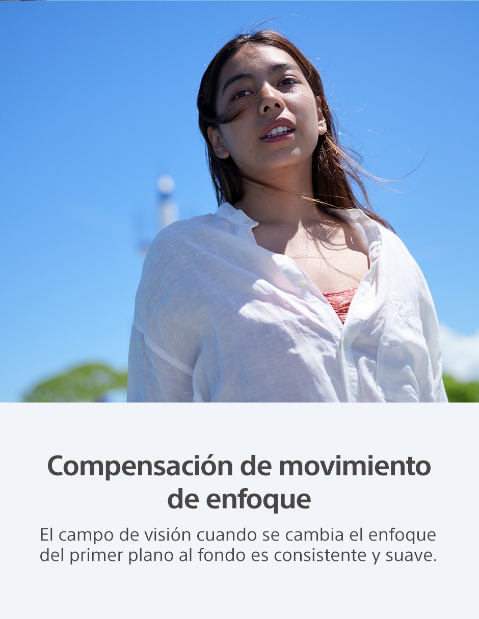 Cámara sin espejo ILME-FX30B/QE38 10