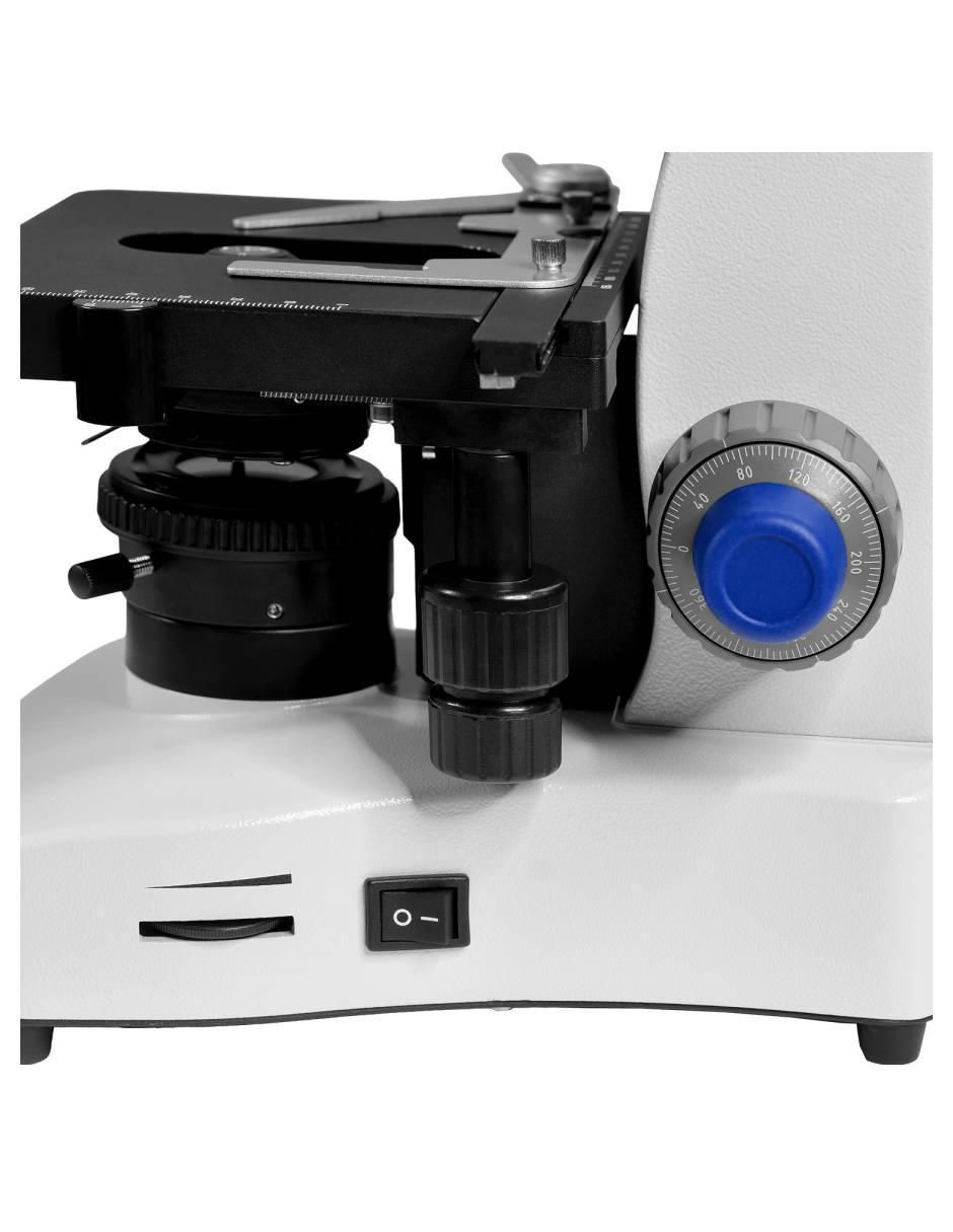 Microscopio 2