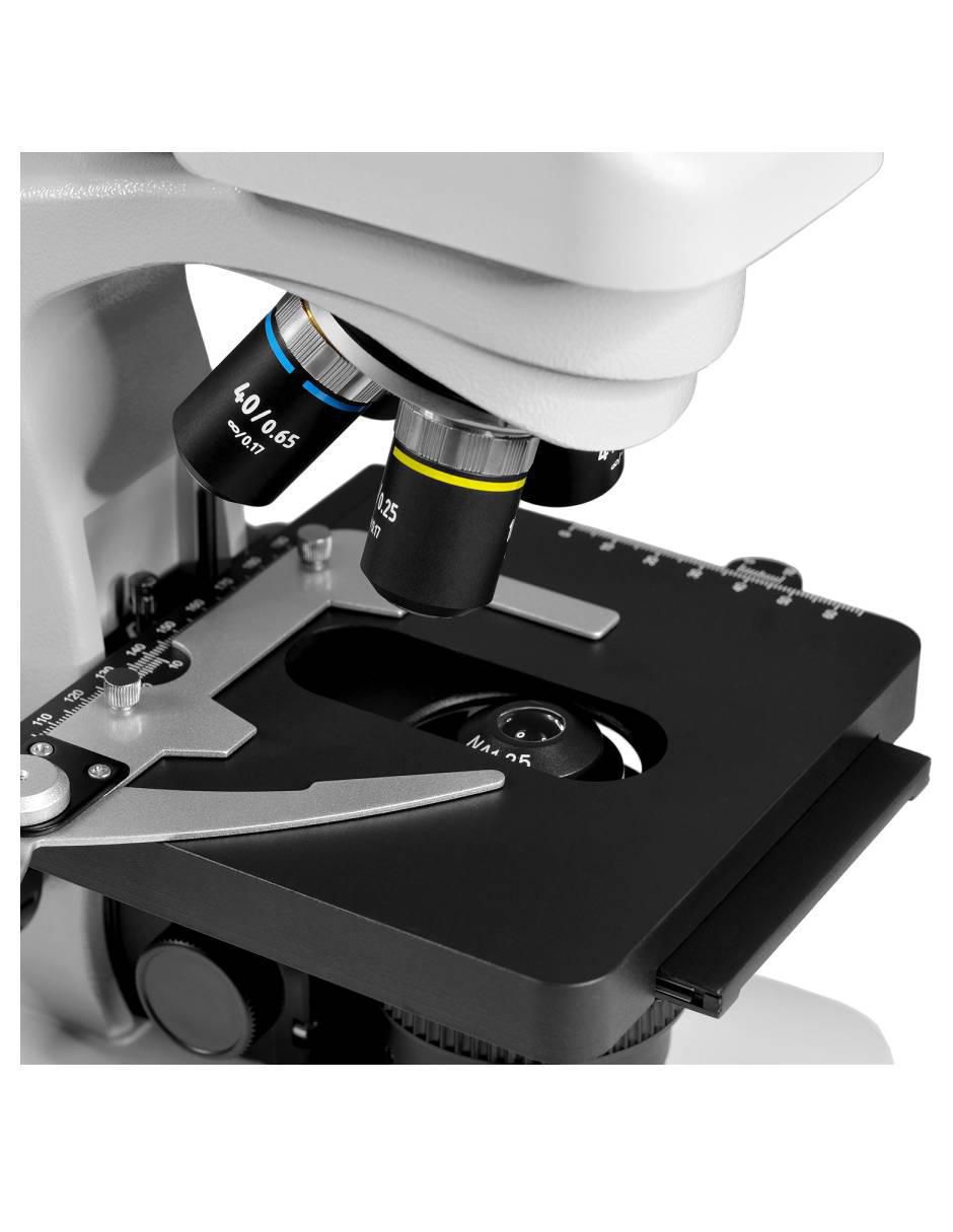 Microscopio 3