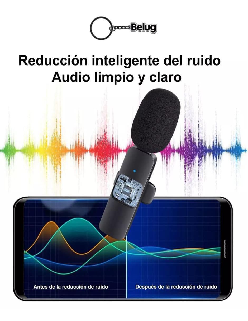 Micrófono básico Inalámbrico 2