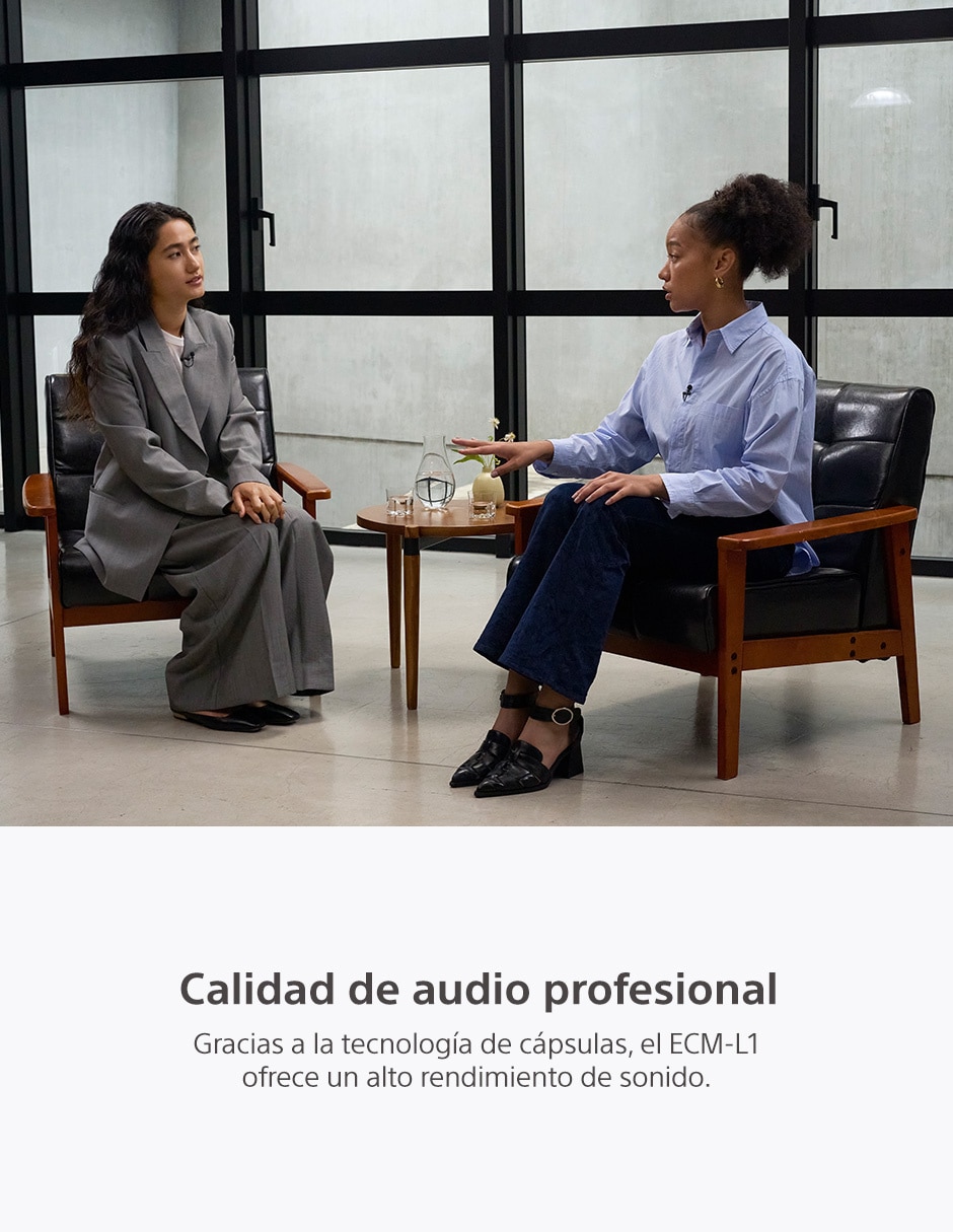 Micrófono portátil alámbrico ecm-l1 2