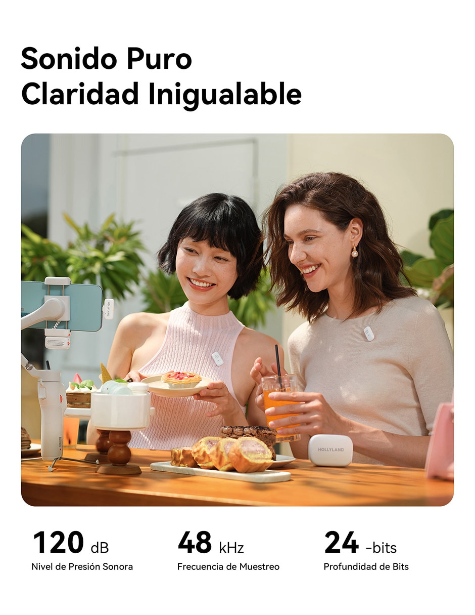 Micrófono inalámbrica 2