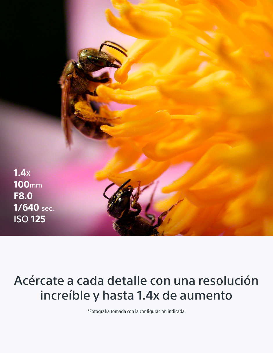 Lente gran angular modelo SEL100M28GM 67 mm f / 2.8 para cámara Sony 8
