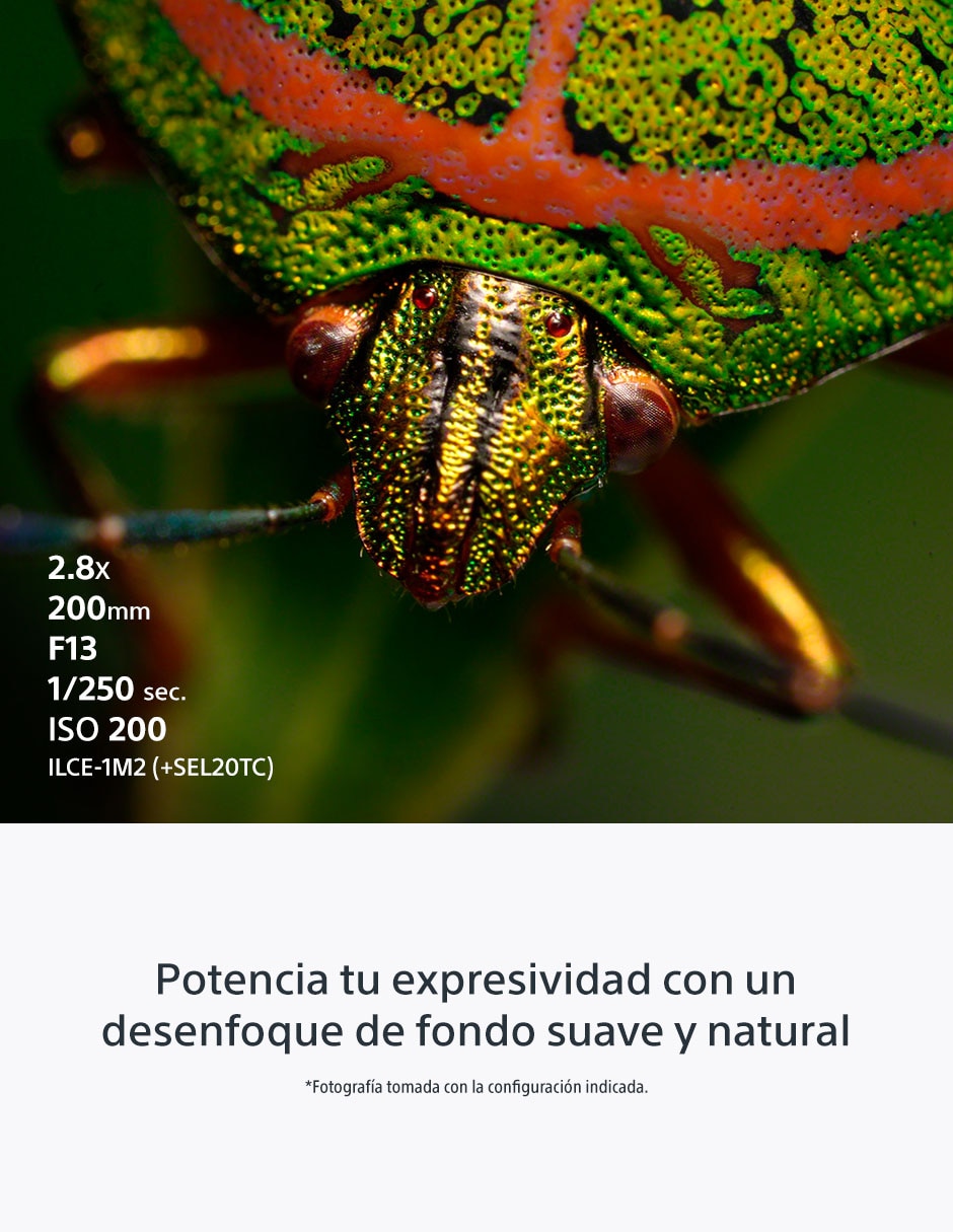 Lente gran angular modelo SEL100M28GM 67 mm f / 2.8 para cámara Sony 9