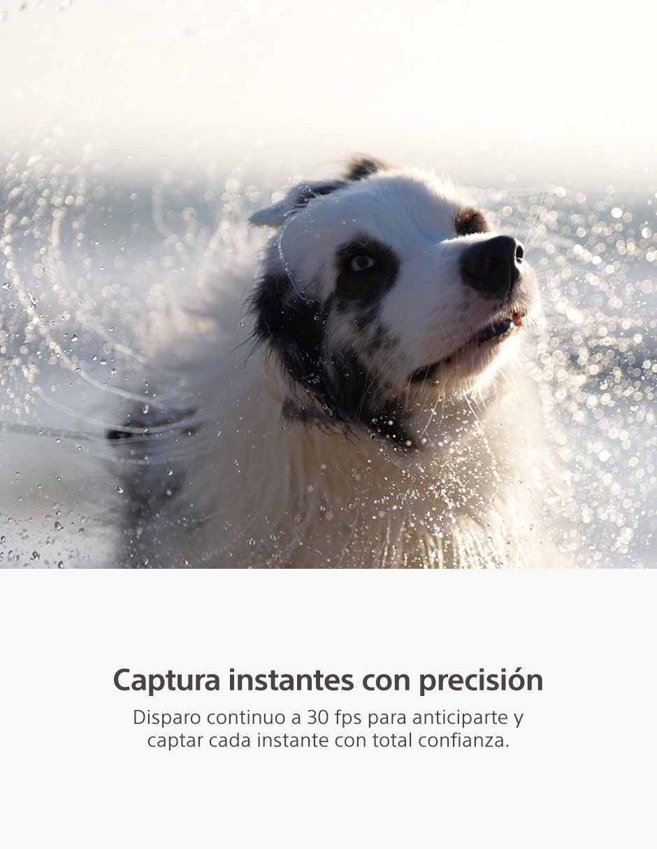 Cámara sin espejo modelo Alpha 7 V 4